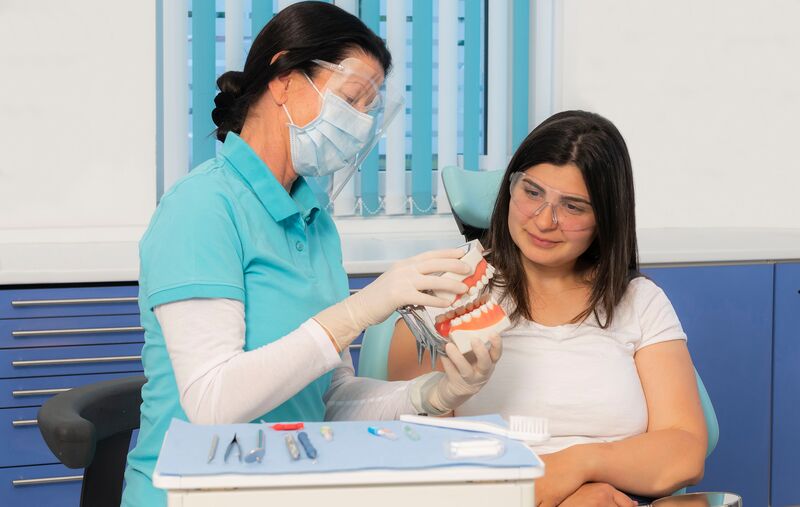 Beratung einer Patientin mit einem Zahnmodell